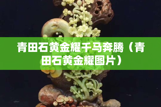青田石黄金耀千马奔腾（青田石黄金耀图片）