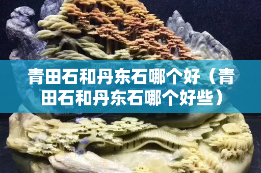 青田石和丹东石哪个好（青田石和丹东石哪个好些）