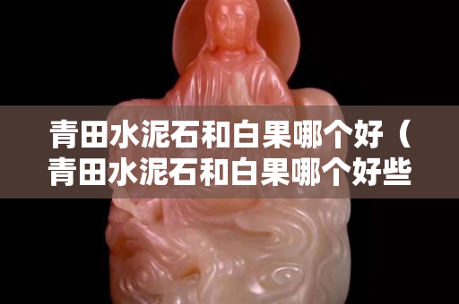 青田水泥石和白果哪个好（青田水泥石和白果哪个好些）