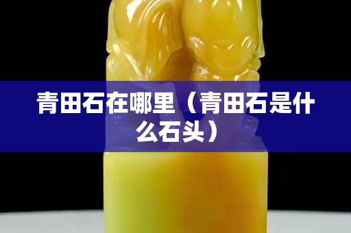 青田石在哪里（青田石是什么石头）