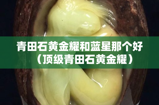 青田石黄金耀和蓝星那个好（顶级青田石黄金耀）