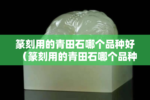 篆刻用的青田石哪个品种好（篆刻用的青田石哪个品种好看）
