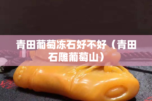青田葡萄冻石好不好（青田石雕葡萄山）