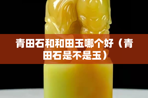 青田石和和田玉哪个好（青田石是不是玉）