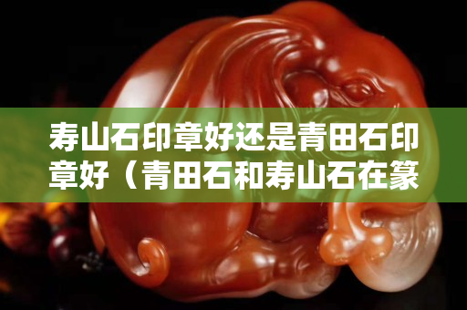 寿山石印章好还是青田石印章好（青田石和寿山石在篆刻的区别）