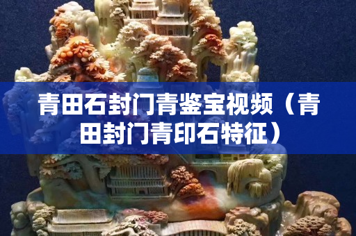 青田石封门青鉴宝视频（青田封门青印石特征）