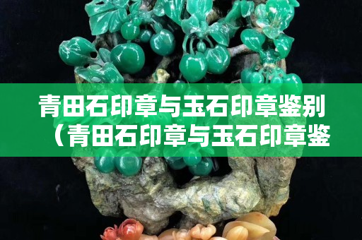 青田石印章与玉石印章鉴别（青田石印章与玉石印章鉴别图片）