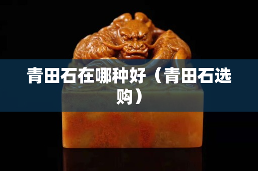 青田石在哪种好（青田石选购）