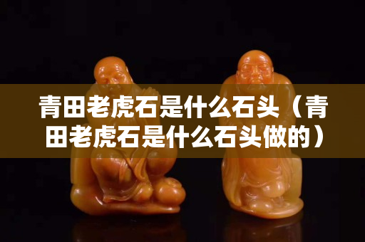 青田老虎石是什么石头（青田老虎石是什么石头做的）