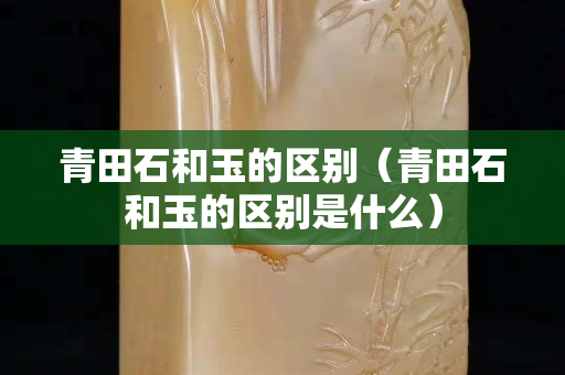 青田石和玉的区别（青田石和玉的区别是什么）