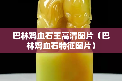 巴林鸡血石王高清图片（巴林鸡血石特征图片）