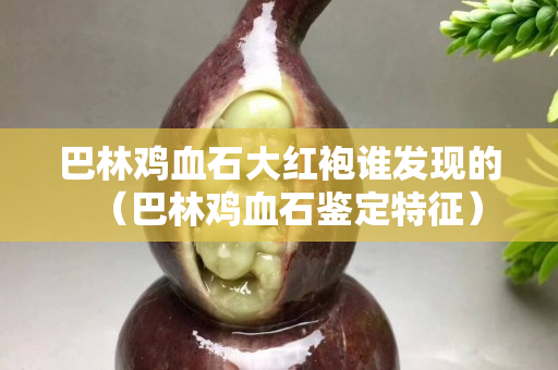 巴林鸡血石大红袍谁发现的（巴林鸡血石鉴定特征）