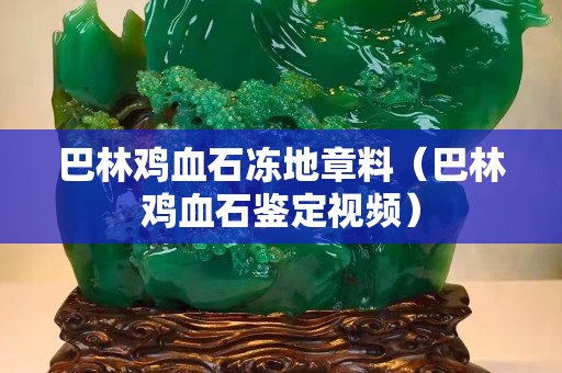 巴林鸡血石冻地章料（巴林鸡血石鉴定视频）