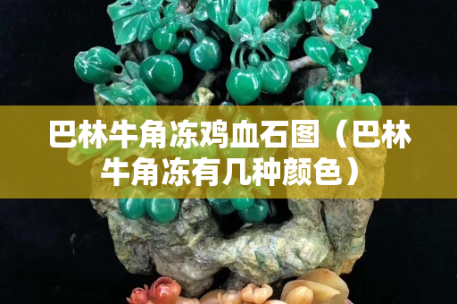 巴林牛角冻鸡血石图（巴林牛角冻有几种颜色）