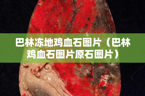 巴林冻地鸡血石图片（巴林鸡血石图片原石图片）