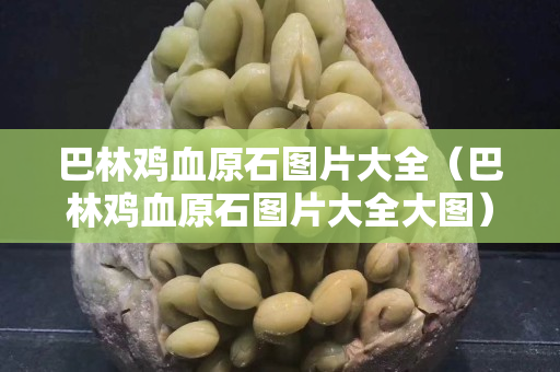 巴林鸡血原石图片大全（巴林鸡血原石图片大全大图）