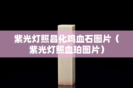 紫光灯照昌化鸡血石图片（紫光灯照血珀图片）