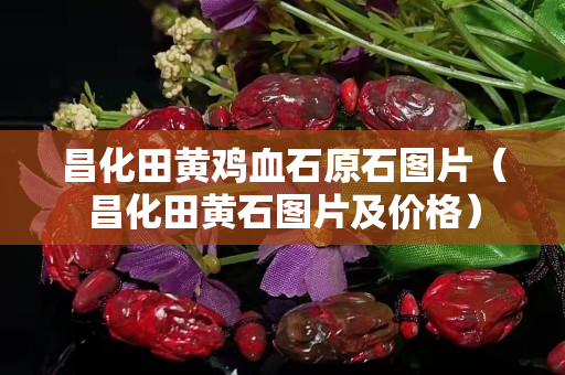 昌化田黄鸡血石原石图片（昌化田黄石图片及价格）