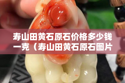 寿山田黄石原石价格多少钱一克（寿山田黄石原石图片刚出土的田黄）