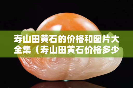 寿山田黄石的价格和图片大全集（寿山田黄石价格多少钱一克2020）