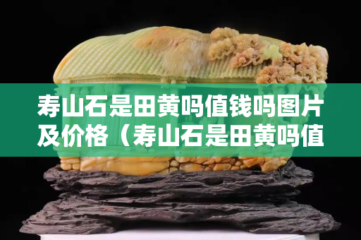 寿山石是田黄吗值钱吗图片及价格（寿山石是田黄吗值钱吗图片及价格表）