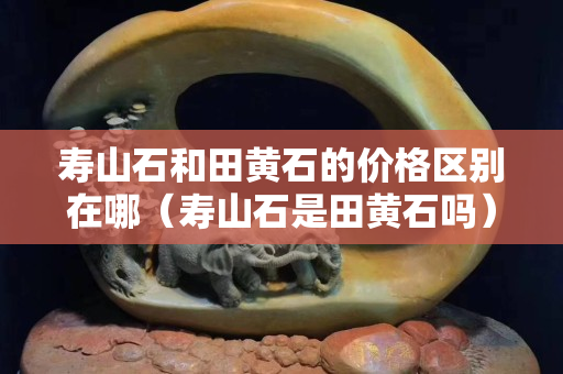 寿山石和田黄石的价格区别在哪（寿山石是田黄石吗）