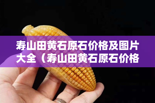 寿山田黄石原石价格及图片大全（寿山田黄石原石价格及图片大全）