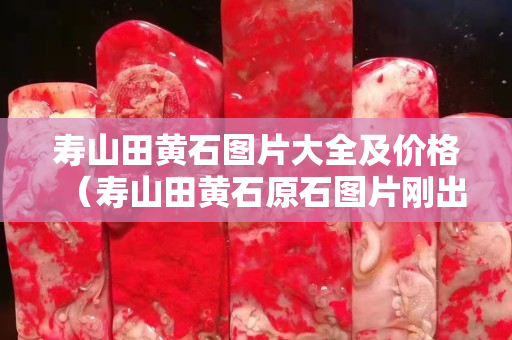 寿山田黄石图片大全及价格（寿山田黄石原石图片刚出土的田黄）