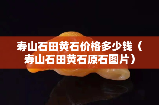 寿山石田黄石价格多少钱（寿山石田黄石原石图片）