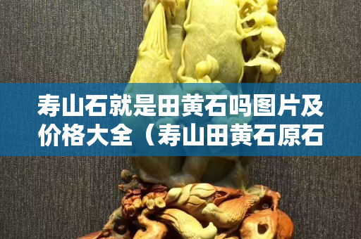 寿山石就是田黄石吗图片及价格大全（寿山田黄石原石图片）