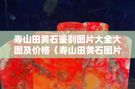 寿山田黄石鉴别图片大全大图及价格（寿山田黄石图片大全 真品）