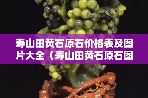 寿山田黄石原石价格表及图片大全（寿山田黄石原石图片刚出土的田黄）