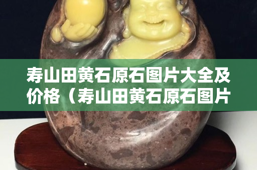 寿山田黄石原石图片大全及价格（寿山田黄石原石图片大全及价格）