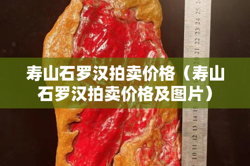 寿山石罗汉拍卖价格（寿山石罗汉拍卖价格及图片）