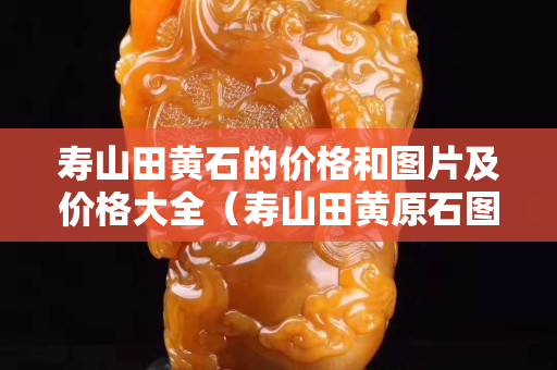 寿山田黄石的价格和图片及价格大全（寿山田黄原石图片）