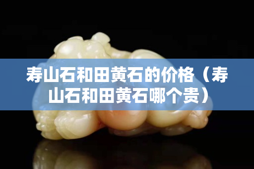 寿山石和田黄石的价格（寿山石和田黄石哪个贵）