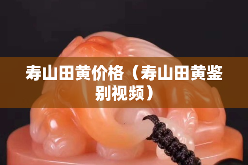 寿山田黄价格（寿山田黄鉴别视频）