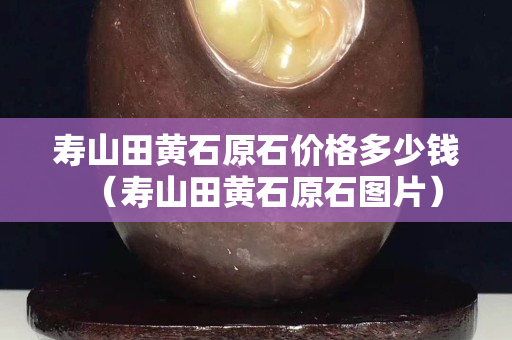 寿山田黄石原石价格多少钱（寿山田黄石原石图片）
