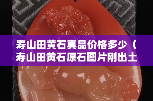 寿山田黄石真品价格多少（寿山田黄石原石图片刚出土的田黄）