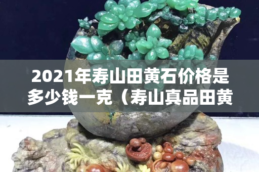 2021年寿山田黄石价格是多少钱一克（寿山真品田黄石视频大全）