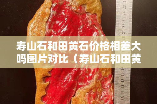 寿山石和田黄石价格相差大吗图片对比（寿山石和田黄石硬度分别是多少）