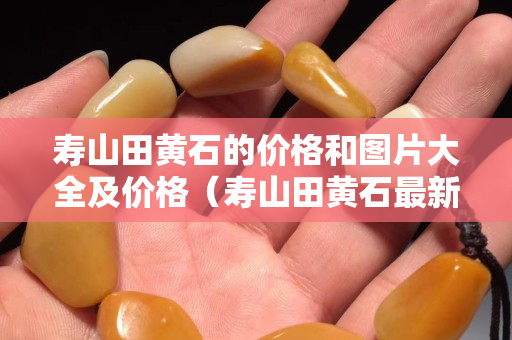 寿山田黄石的价格和图片大全及价格（寿山田黄石最新价格）