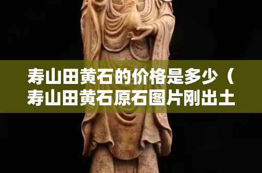 寿山田黄石的价格是多少（寿山田黄石原石图片刚出土的田黄）