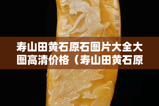 寿山田黄石原石图片大全大图高清价格（寿山田黄石原石图片大全大图高清价格表）