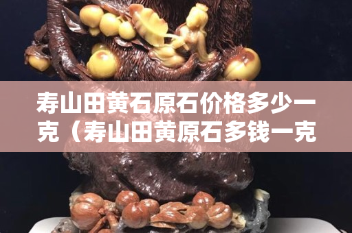 寿山田黄石原石价格多少一克（寿山田黄原石多钱一克）