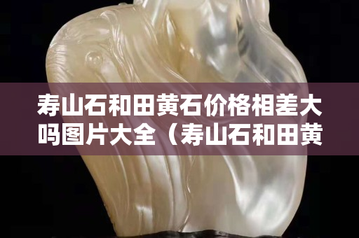 寿山石和田黄石价格相差大吗图片大全（寿山石和田黄石价格相差大吗图片大全集）