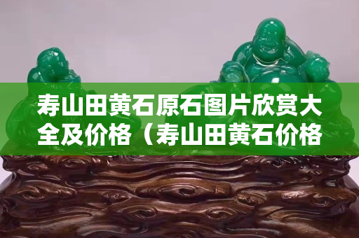 寿山田黄石原石图片欣赏大全及价格（寿山田黄石价格多少钱一克2020）