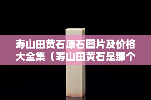 寿山田黄石原石图片及价格大全集（寿山田黄石是那个地方）