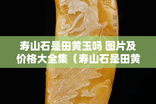 寿山石是田黄玉吗 图片及价格大全集（寿山石是田黄玉吗 图片及价格大全集欣赏）