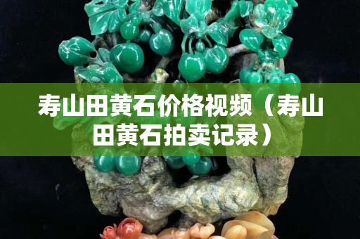 寿山田黄石价格视频（寿山田黄石拍卖记录）